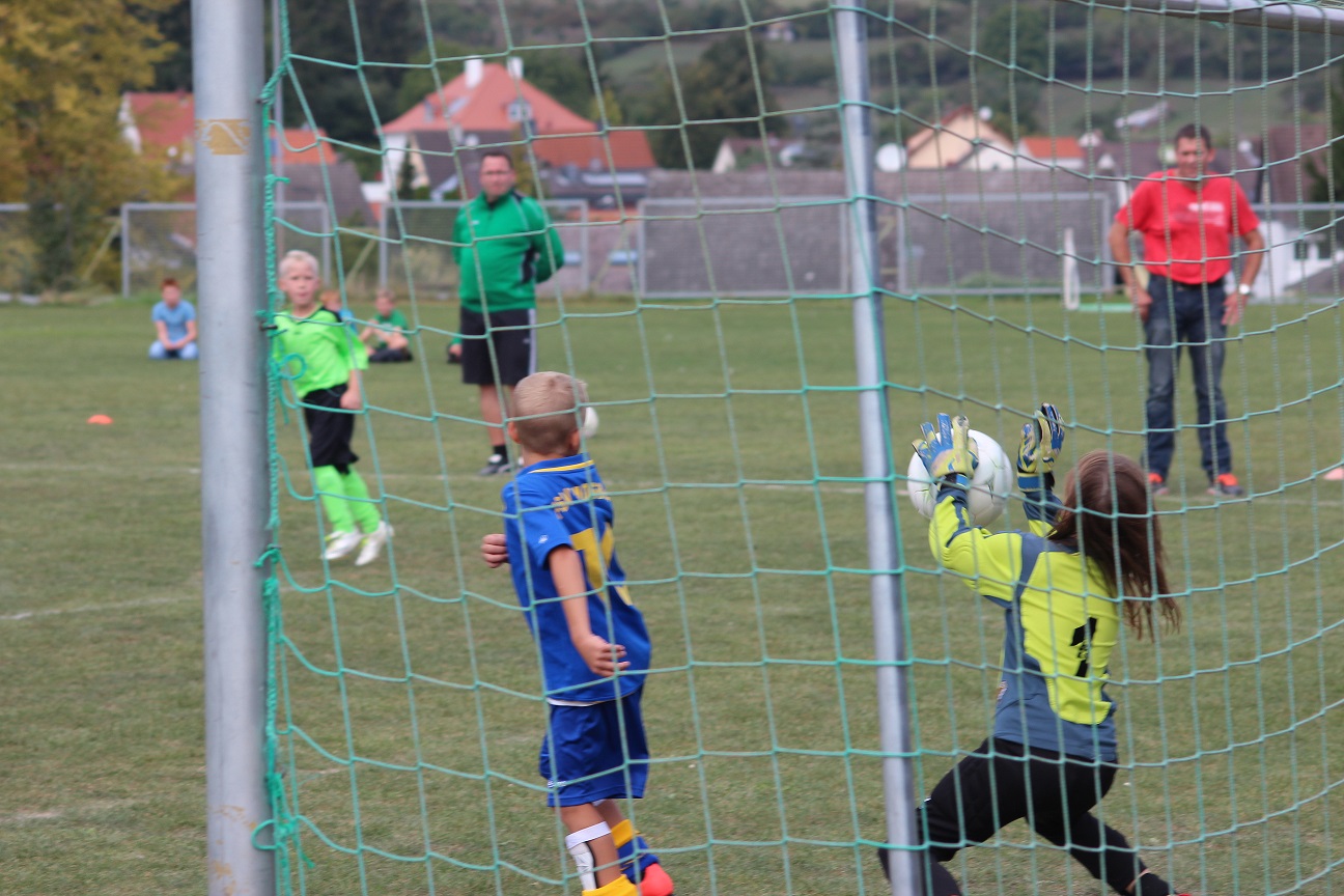 F Jun. FSV Mosbach- Vikt. Klein- Zimmern 1:12 12.09.15