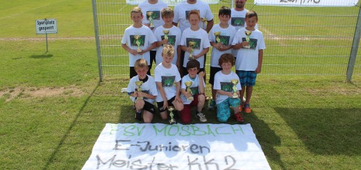 E1 Junioren Meister 2014/15