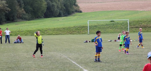 F Jun. FSV Mosbach- Vikt. Klein-Zimmern 1:12 12.09.15