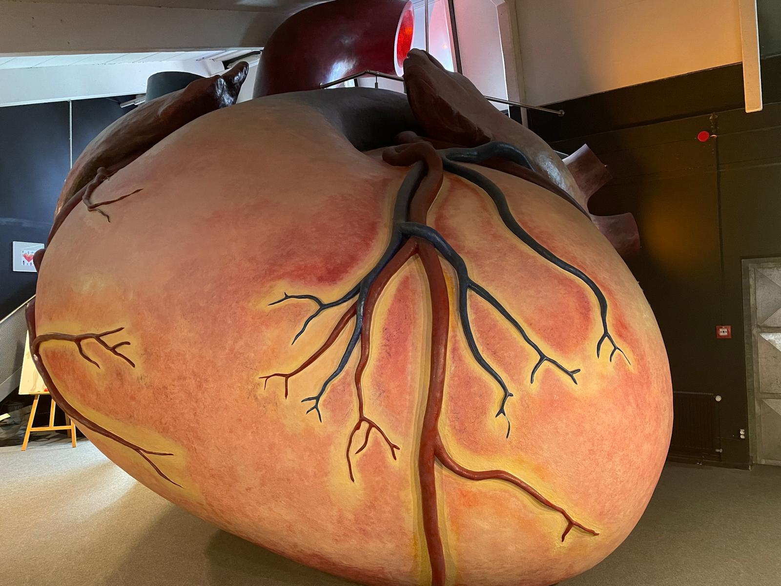 Herzsport Ausflug 2024