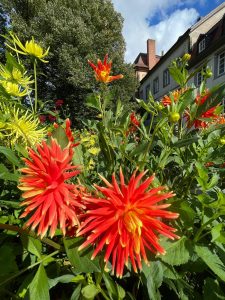 Herzsport Ausflug 2024